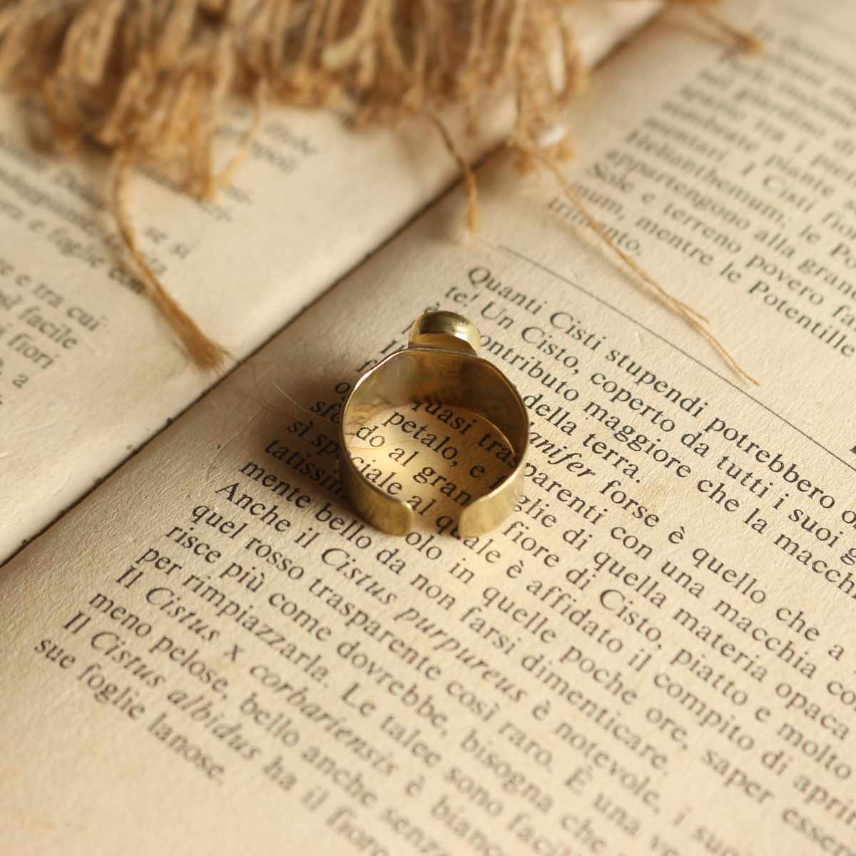 Anello "Custode di Luce" Labradorite bianca - regolabile