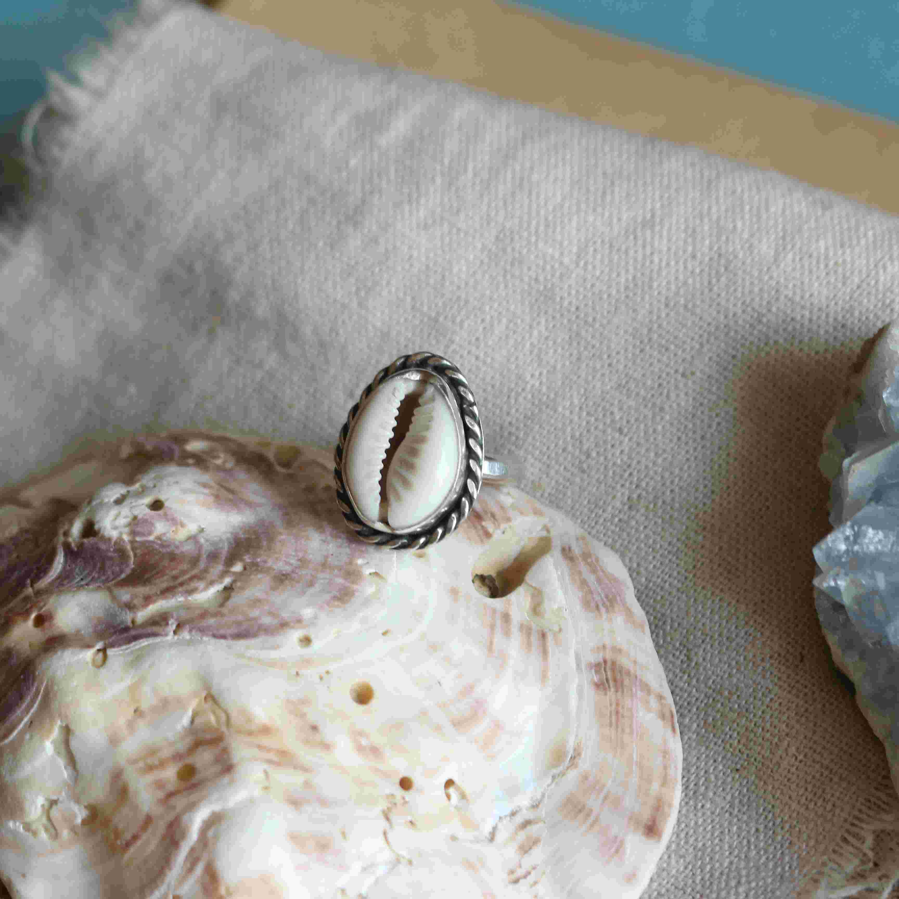 Lo Scrigno della Sirena e l'Anello Conchiglia